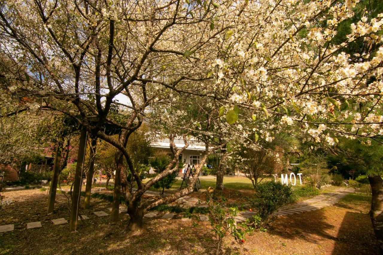 헝산 향 Tomi House 아파트 외부 사진