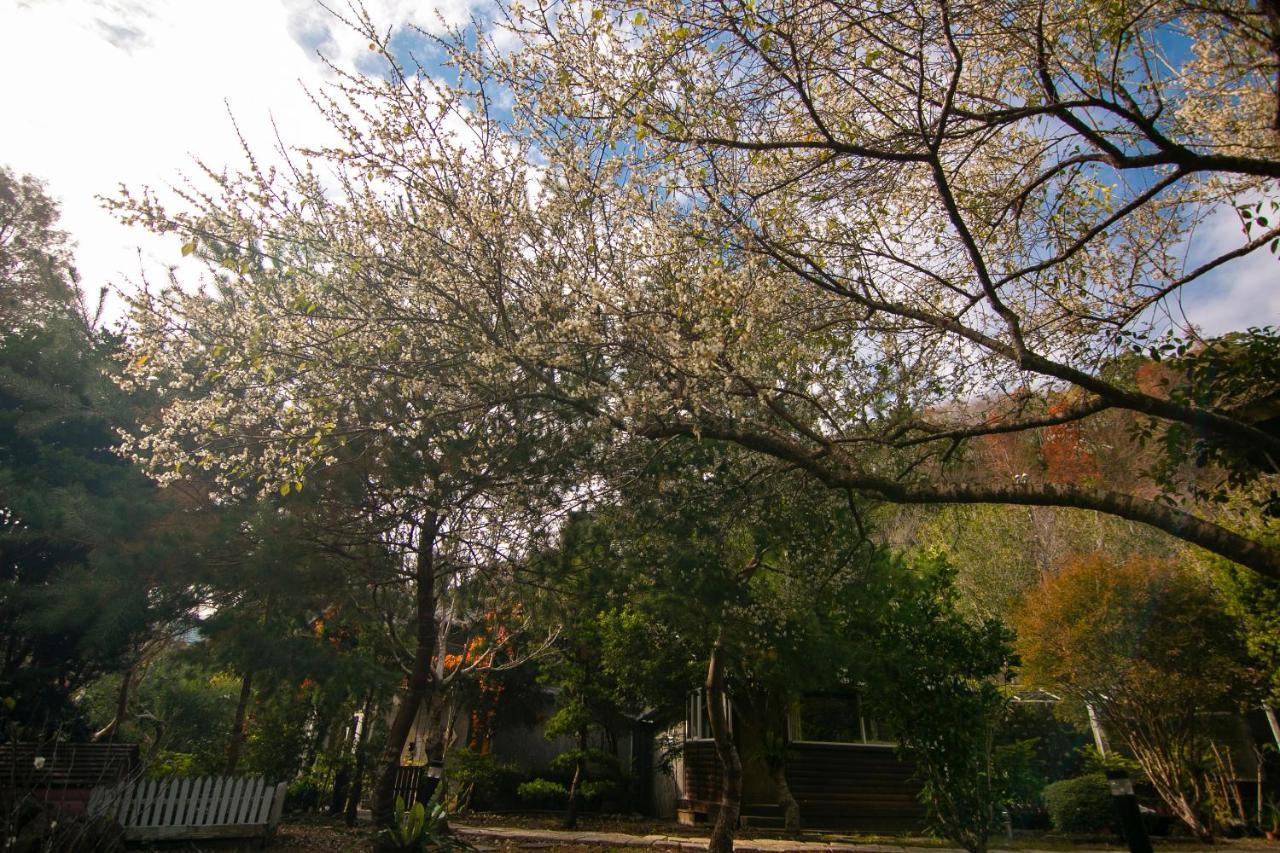 헝산 향 Tomi House 아파트 외부 사진